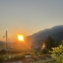 로터스711 이미지