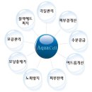 필아쿠아 - 파주시 가람로21번길 52-1 | 필아쿠아