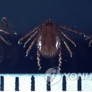 늘기쁜약국 이미지