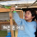 수호네 농장 | 용인농장체험] 헤븐온어스. 농장체험과 함께 동물먹이주기까지! 다양한 체험활동이 있는 농장