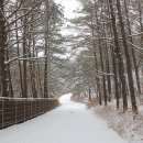 만수교 주변 이미지