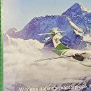 베이스캠프 이미지