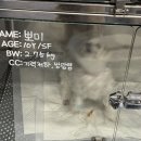 24시 포항 이음동물의료센터 이미지