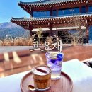 가평 아침고요수목원 근처 한옥카페 고요재 애견동반 가능