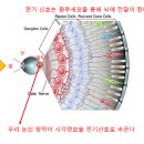 초록의파랑 이미지
