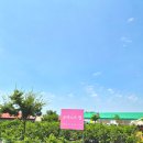 농촌체험블루베리;포포 | 용인 블루베리 체험과 동물 교감을 한곳에서! 포레스트벨 대만족 후기