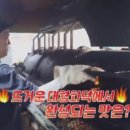 화성대박식당