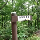 회남재 숲길 이미지