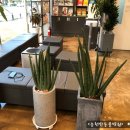 신대동물병원 이미지