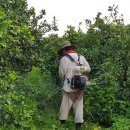 무성농장 이미지