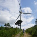 강원목장 이미지