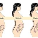라디 필라테스 이미지