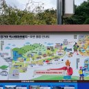 대가야 | 역사공부와 산책을 동시에 할 수 있는 대가야역사테마파크 방문후기