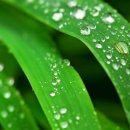 믿음목장 이미지