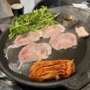 씨유제주세화포구점 | 제주도의 긴 카우룽 카우룽