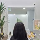 이어진;아름다움을잇다 | 새로운 봄, 인계동붙임머리로 자연스러운 변신의 기쁨을 누려보세요