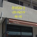 디코이덕 이미지
