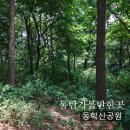 동학산근린공원 이미지