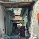 라파엘메디케어 이미지