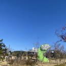 플라이마이 | 부산 관광코스추천 루지 짚라인 하이플라이 내돈내산 후기
