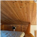 초록민박 이미지