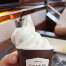 동남커피숍 | 천안 유량동 베이커리 카페 추천 랜드마크195 빵과 커피에 진심인 곳 방문후기!