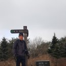 아라메길(6구간) 이미지