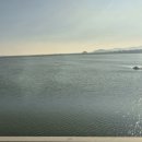 자기부상철도 합동청사역 | [바퀴없이달리는열차]인천공항 자기부상열차, 연말에 꼭 타야 할 이유