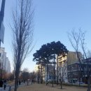 김쌤헤어 - 전주시 덕진구 기지로 91 | 김쌤헤어