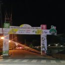 설보리 이미지