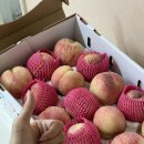 운경농장 이미지