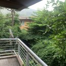 향린 | 조경철거 동백 향린동산 철거 후기
