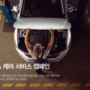 클린팡 이미지