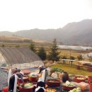 복음농장 이미지