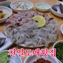 따봉도매횟집