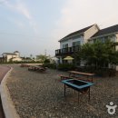 새바라기 이미지