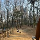 남동논현도서관 | 인천 논현역 중식 맛집｜미미반점 쟁반짜장 탕수육 솔직 후기