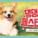 댕댕이# 이미지