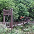 트레일(Trail) 이미지