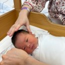 로하스한의원 | 산후조리원 생활 (제왕 후 회복 더딤, 산후우울증세)