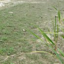 찬연농장 이미지