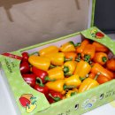 해오름농장-3 이미지