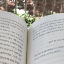 도토리살롱 이미지