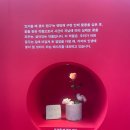 워크사운드 | [전시회 후기] 사운드워크 컬렉티브 & 패티 스미스: 끝나지 않을 대화