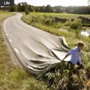 라이프시스 이미지