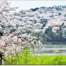 희원 이미지