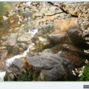 다강산방