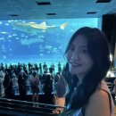 수호목장 | [일본 오키나와] 3박 4일 뚜벅이 자유여행 일정 추천 | 내돈내산 스노쿨링투어, 북부투어 대만족 후기까지