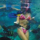 행복한신혼여행만들기 3탄!!! 하와이 나와~~ 난 가까운 괌!! 괌으로의 신혼여행- PIC RESORT-수원웨딩팰리스예식장 이미지