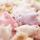 하남스포츠센터 수영장 이미지